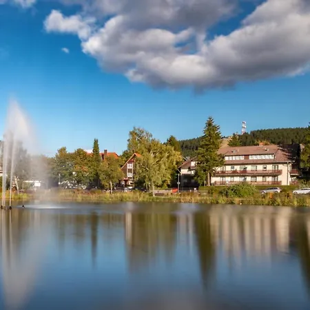 Lejlighed Modern & Vintage Bocksbergblick Hahnenklee Goslar