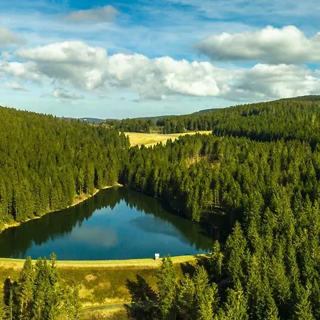 Lejlighed Modern & Vintage Bocksbergblick Hahnenklee Goslar