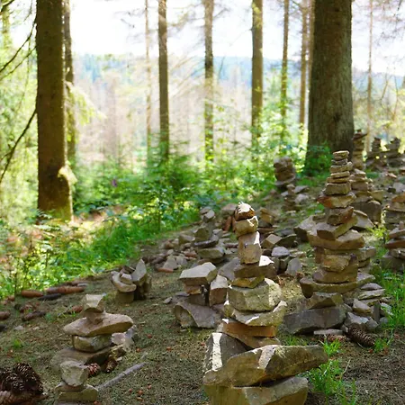 Modern & Vintage Bocksbergblick Hahnenklee Lejlighed *