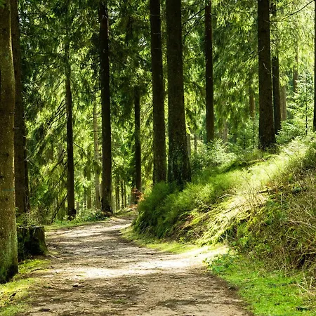 Modern & Vintage Bocksbergblick Hahnenklee Lejlighed