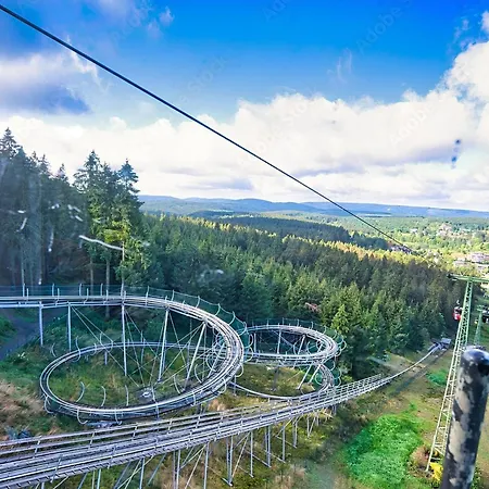 Lejlighed Modern & Vintage Bocksbergblick Hahnenklee *