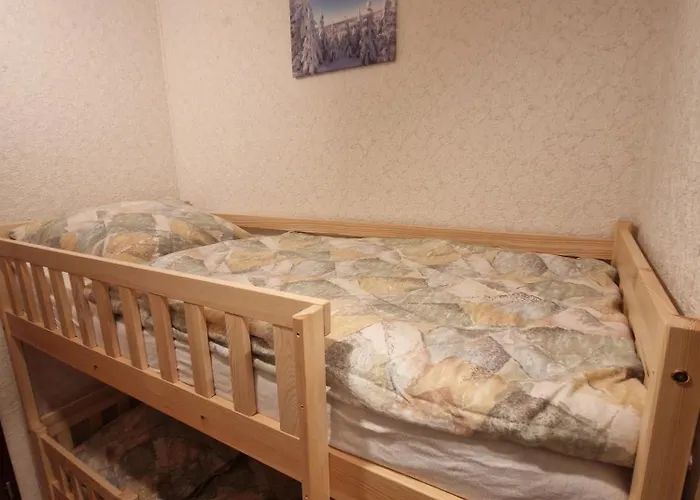 Modern & Vintage Bocksbergblick Hahnenklee Appartement Goslar